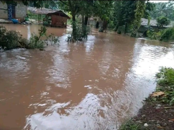 Maï-Ndombe : de fortes pluies provoquent des inondations au village Ibole